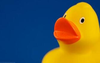 Children Rubber Ducks Wallpaper Art HD