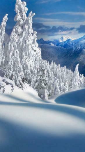 Snow iPhone 5s Wallpaper And Background