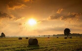 Hay Bale Field Widescreen Wallpaper