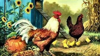 Collection Of Rooster Background HD Wallpaper