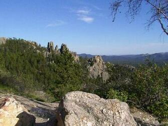 Custer State Park In The Black Hills Of South Dakota Photos