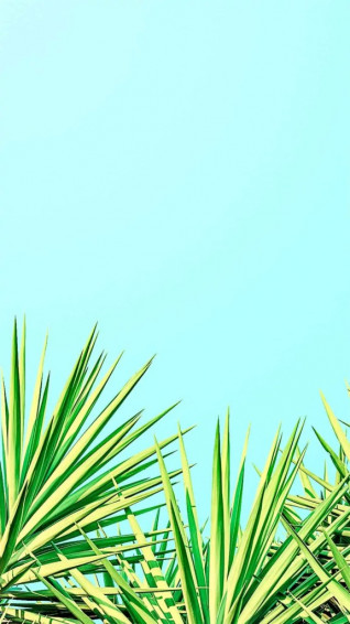 Summer iPhone Wallpaper That You Have To See Artist Hue