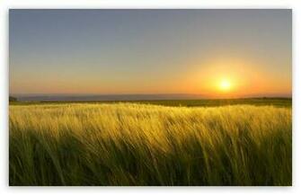 Sunny Days End HD Wallpaper For Wide Widescreen Whxga