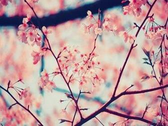 Tagged As Summer Words Hello Spring Flowers Hot
