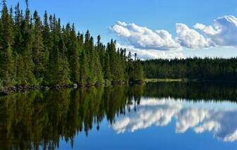 Wallpaper Forest Lake Pond Reflection Canada
