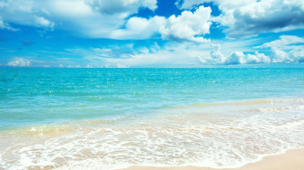 Summer Wallpaper