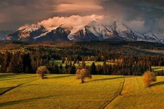 Nature Landscape Mountain Spring Slovakia Forest