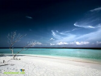 White Sand Beach Desktop Wallpaper