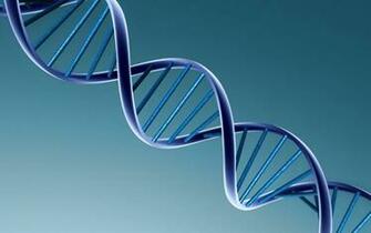 Background Wallpaper Biology