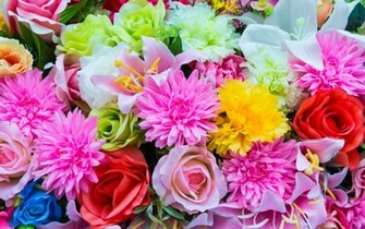 Beautiful Colorful Flowers Wallpaper