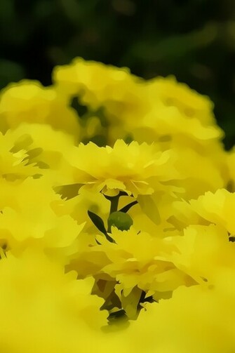 Yellow Flower Pattern iPhone HD Wallpaper