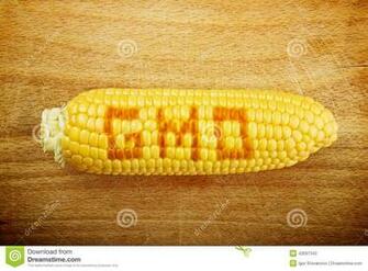 Best Gmo Corn Wallpaper Unicorn