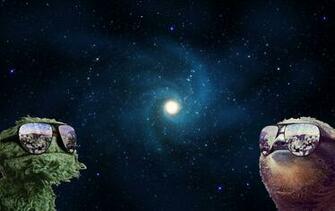 Sloth HD Wallpaper Background