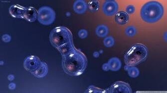 Cell Biology Wallpaper Division