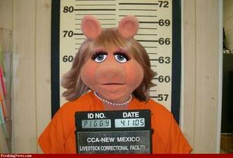 Miss Piggy Wallpaper