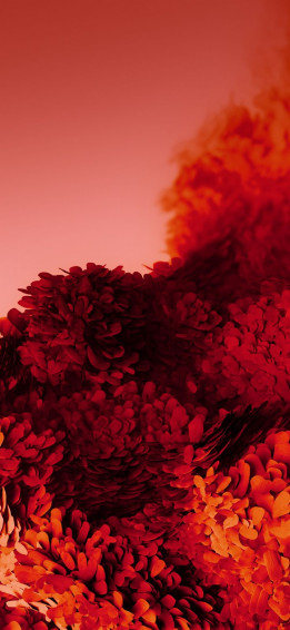 Samsung Galaxy S20 Wallpaper Best iPhone