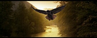 Machiavellicro Deviantart Art Bird Of Prey Offset