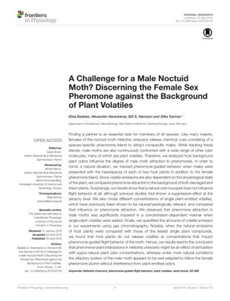 Pdf A Challenge For Male Noctuid Moth Discerning The Female