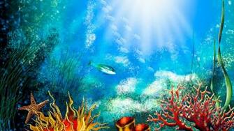 Desktop Aquarium HD Wallpaper The Database