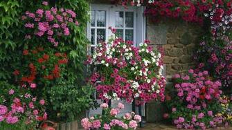 Garden Summer Wallpaper France Farmhouse