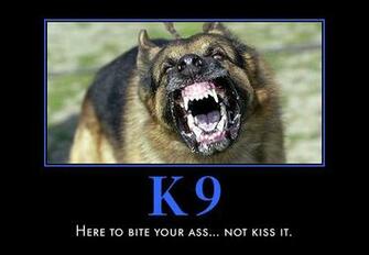 Police K9 HD Wallpaper