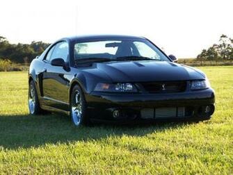 Terminator Cobra
