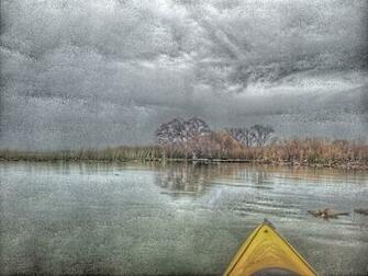 Delta Waterfowl Wallpaper Sherman Island
