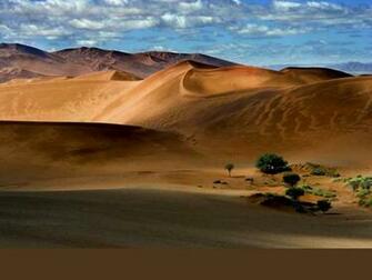 Desert Scene Wallpaper