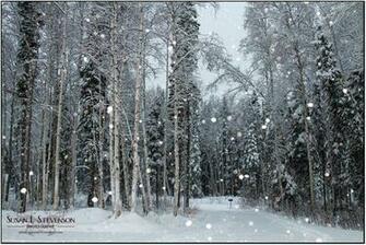 Falling Snow Desktop Wallpaper High Definition