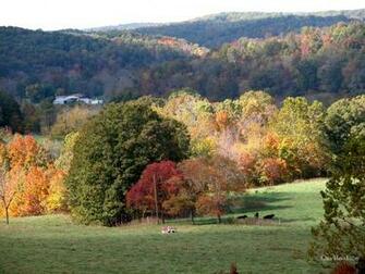 Ozark Mountain Scenic Wallpaper From Woods Waters Two