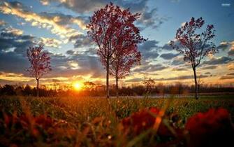 Most Beautiful Sunset Wallpaper