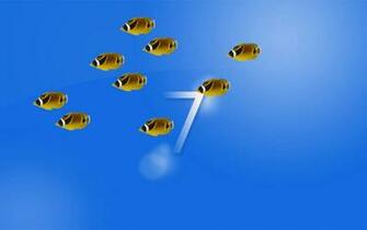 Raccoon Butterflyfish Wallpaper Ware