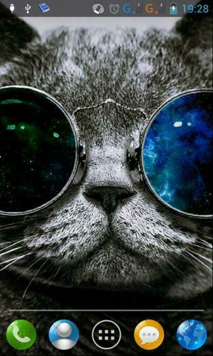 Go Back Gallery For Dubstep Cat Wallpaper