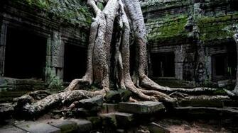 Angkor Wat HD Wallpaper Net