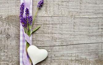 Lavender Wallpaper