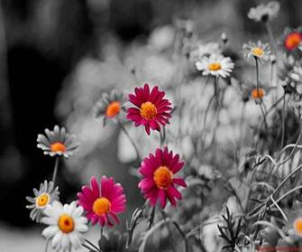 Colourful Cute Design Android Wallpaper Mobile Phone Image
