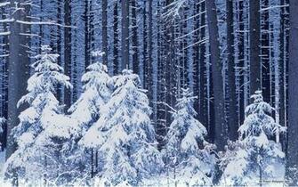 Winter Wonderland Desktop Background
