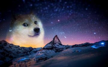 Doge Wallpaper On