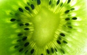Kiwi Wallpaper Widescreen By Beto7605