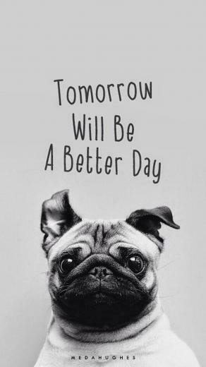 Have Hope Inspiration Pug Wallpaper Cute Pugs