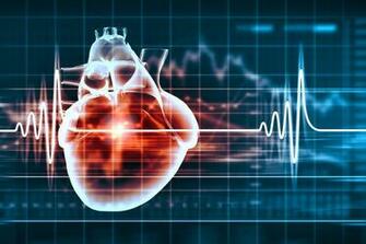 Muga For The Health Of Your Heart Canadian Nuclear Association