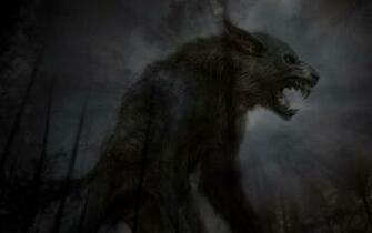 Remarkable Babby Wolves Wallpaper And Background Te Image About