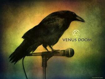 Dark Raven Wallpaper By Praveen3d
