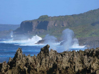 Christmas Island Discovery Redraws Map Of Life