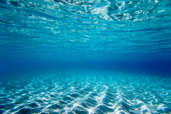 Zoom Background Ocean Wallpaper
