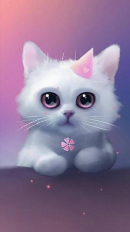 Cat Wallpaper By Majist Now Browse