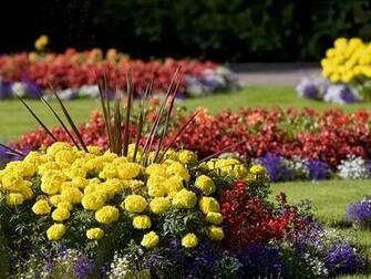 Summer Flower Garden Desktop Background