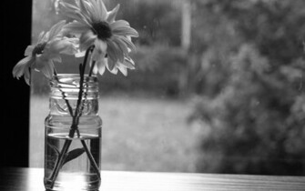 Monochrome Flowers Wallpaper Stock Photos