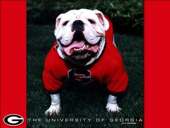Ncaa Georgia Bulldogs Car Flag G Logo With Black Background