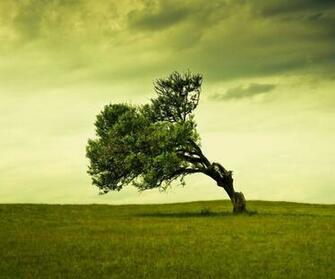 Related Wallpaper Size Type Jpg S